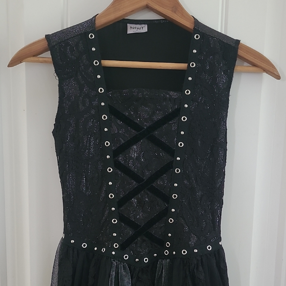Dark Angel Costume